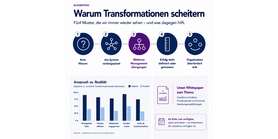 5 Muster warum Transformationen scheitern