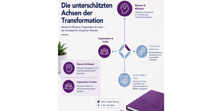 Die unterschätzten Achsen der Transformation 