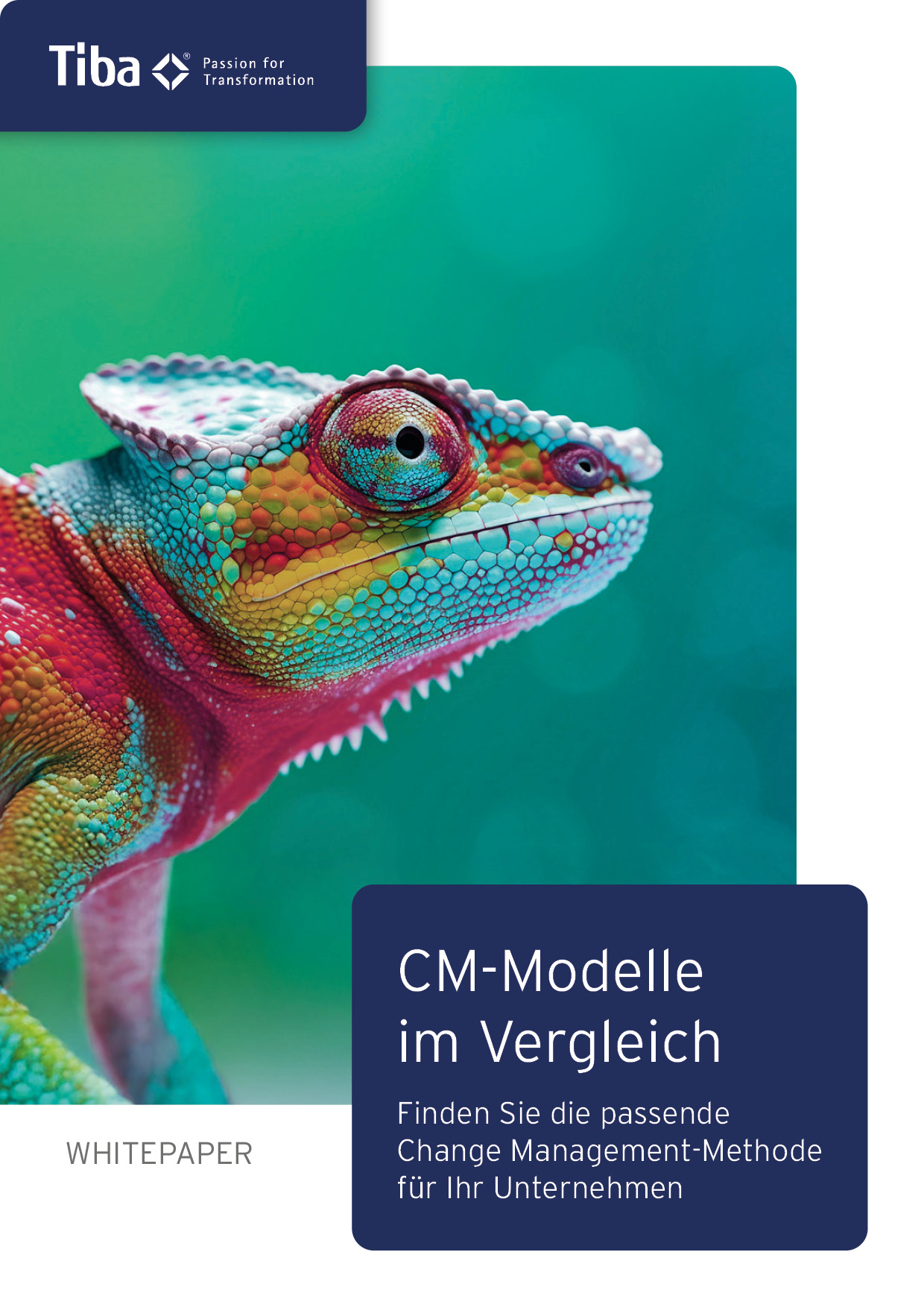 Change Management-Modelle im Vergleich