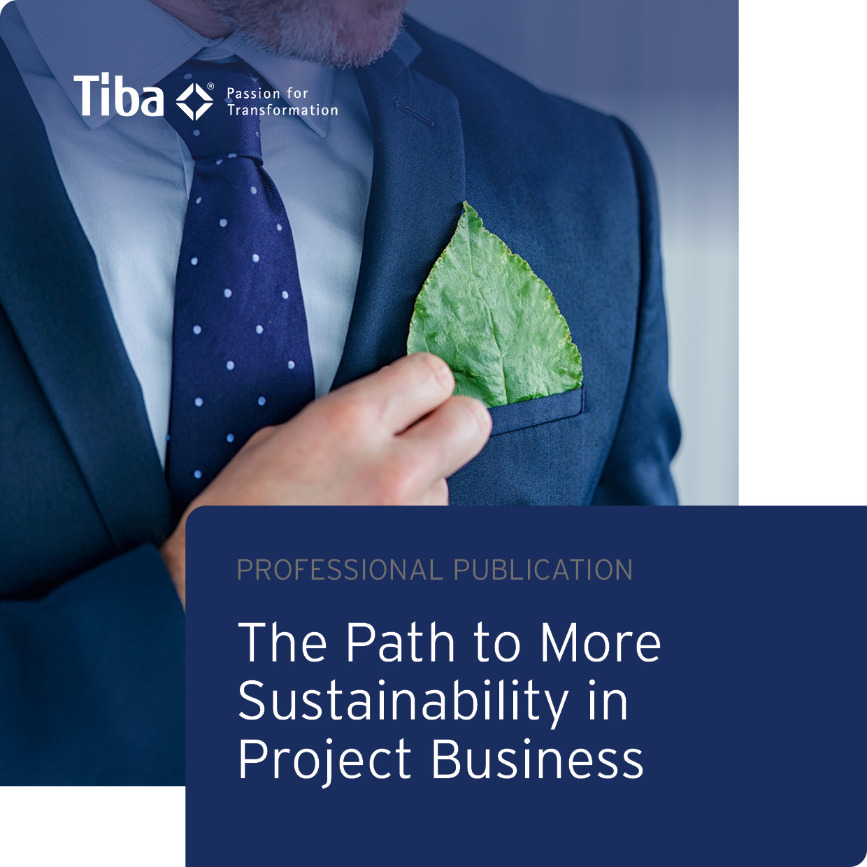 The Path to more Sustainability in Project Business