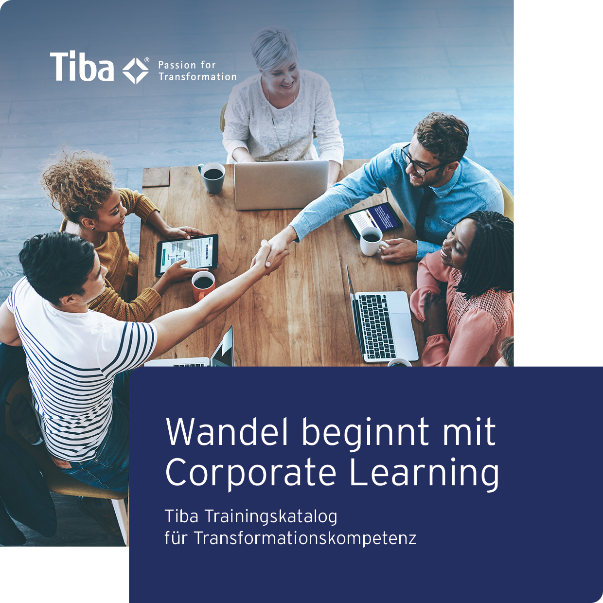 Trainingskatalog der Tiba Transformation Group