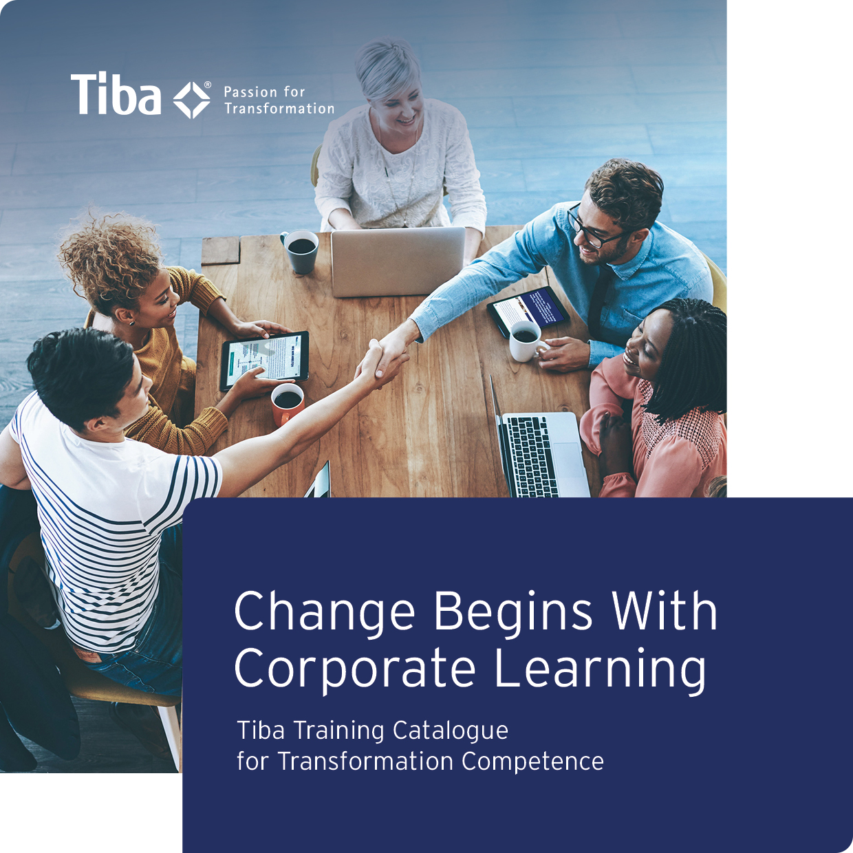 Training Catalogue of the Tiba Transformation Group