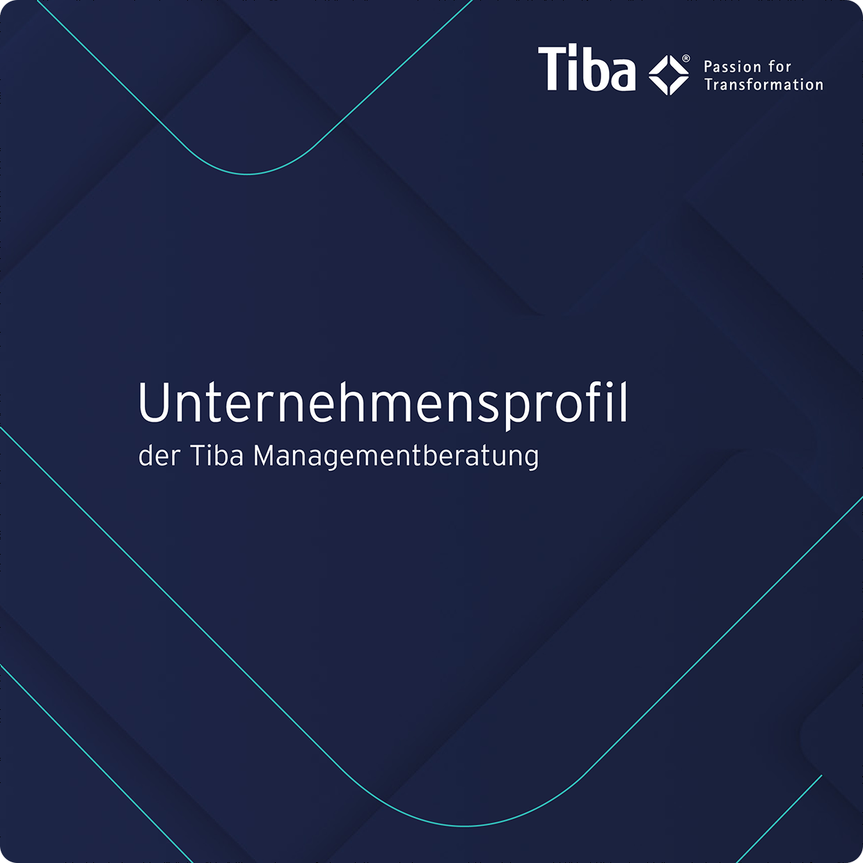 Tiba Managementberatung GmbH