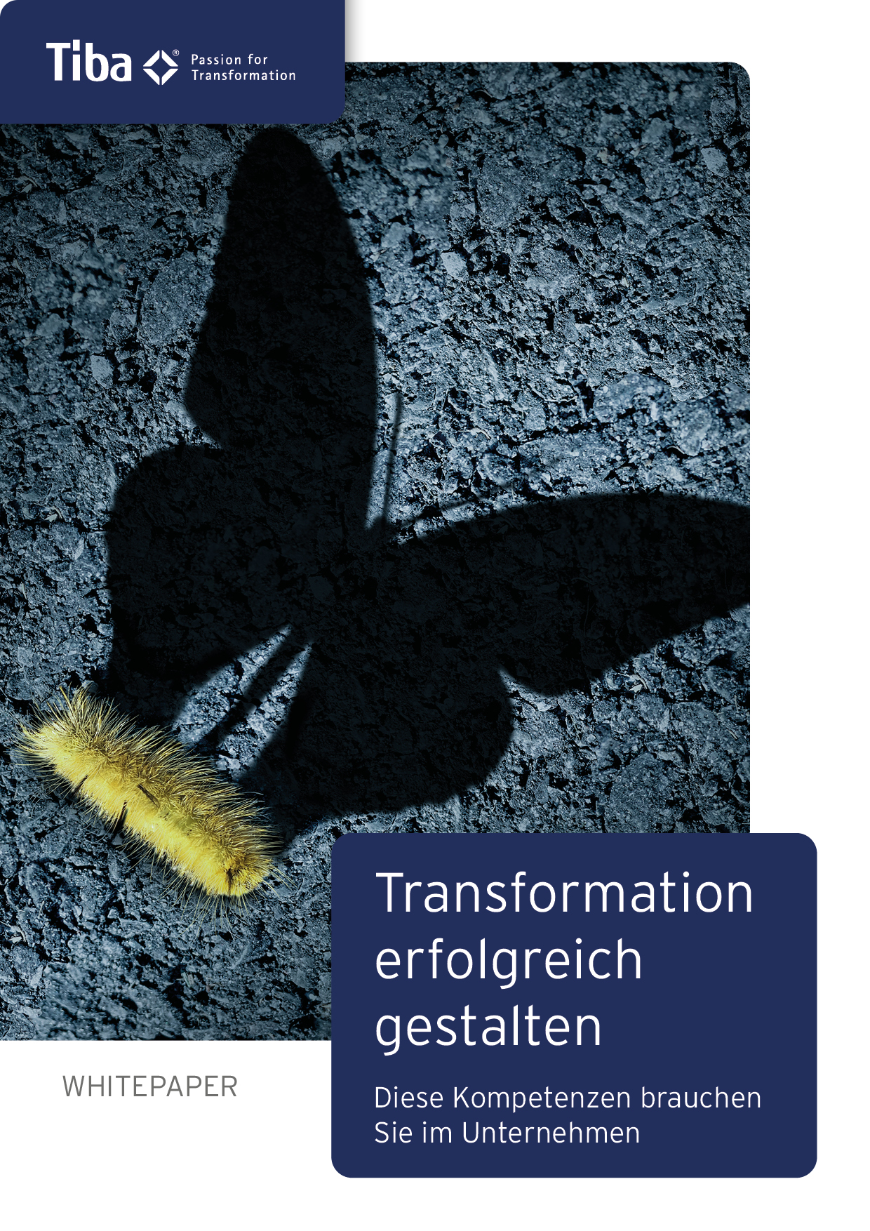 Transformation erfolgreich gestalten